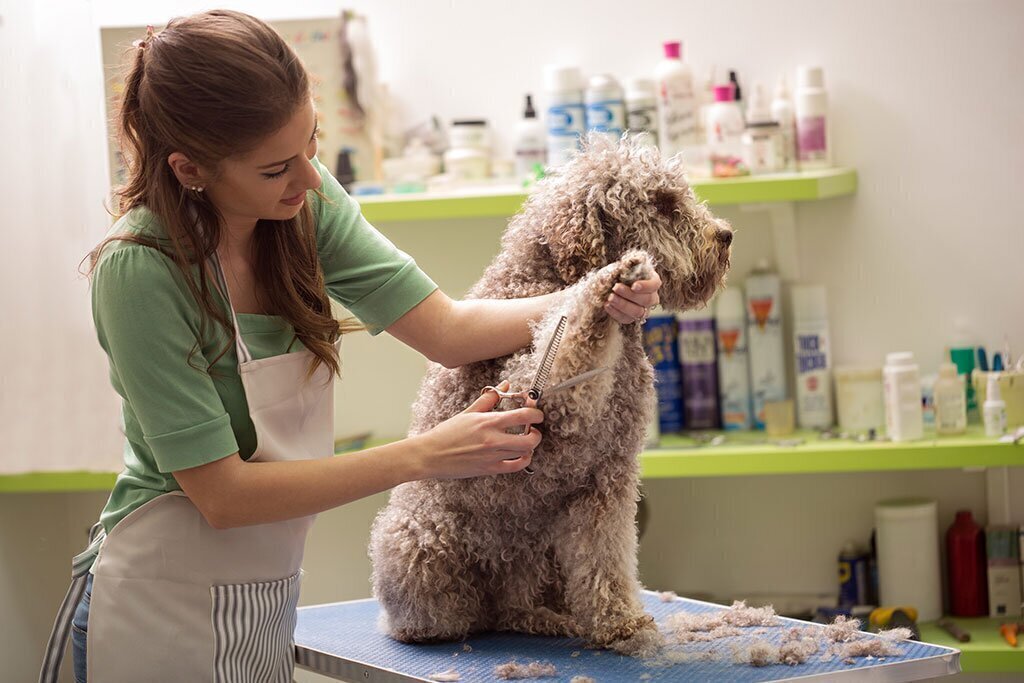 Dog Groomers - Ratings and Reviews - National