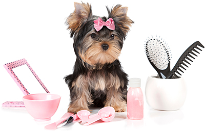 Groomers: Supplier of a huge range of dog grooming products and