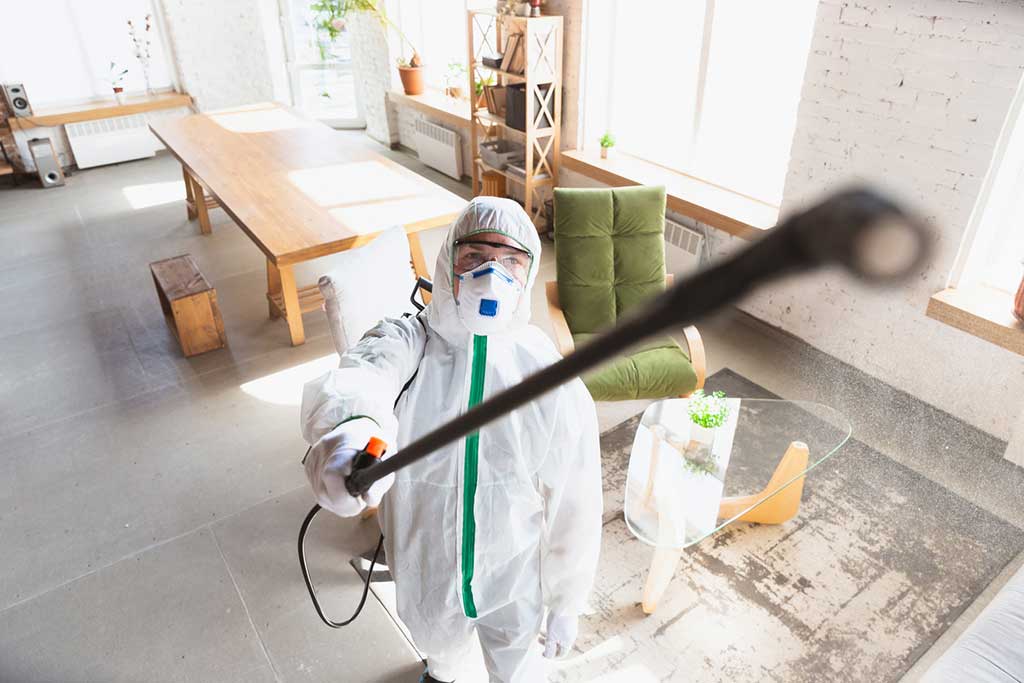 How to Find a Good Exterminator - Puget Sound Consumers' Checkbook