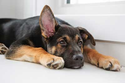 Adopt Good Home Security Habits
